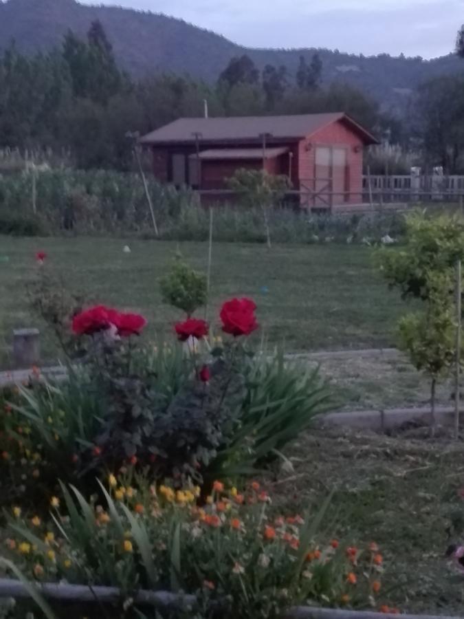 Cabana Amor Isla de Maipo Exterior foto